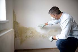 Best Mold Damage Restoration  in Oberlin, LA